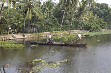 Houseboat-Tour from Alleppey to Kollam_DSC6702_H600